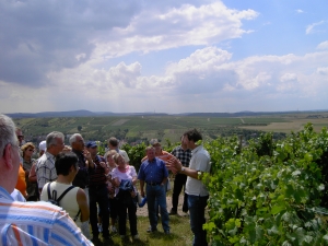 Weinwanderung Freitags